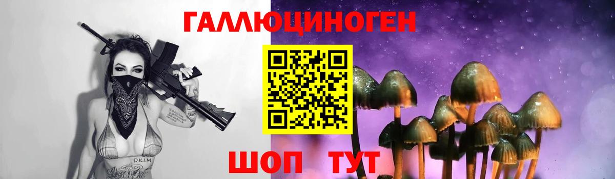 Добрянка  Псилоцибиновые грибы Psilocybine cubensis  Вход с VPN 
